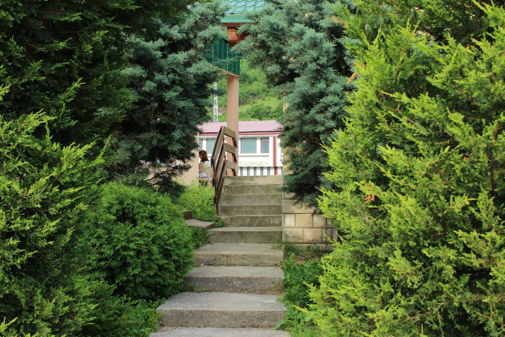 Guesthouse Eko Piva Plužine Extérieur photo